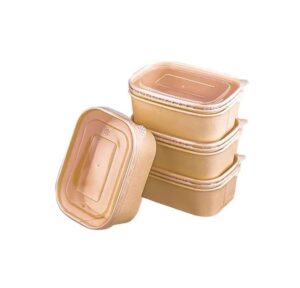 Kraft rectangle box 580ml